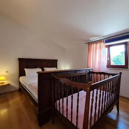 Dorma Vidulini